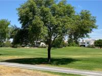 Terreno en venta en Campestre Celaya, Celaya — foto 2 de 7