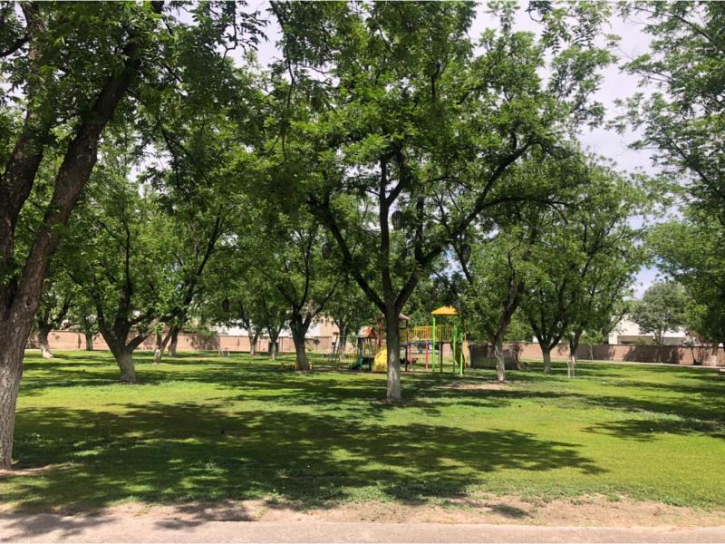 Terreno en Venta en Las Trojes, Torreón, Coahuila de Zaragoza