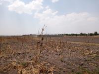 Terreno en venta en San Miguel Totocuitlapilco, Metepec — foto 2 de 5