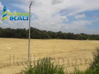 Terreno en renta en La Victoria, Tuxpan — foto 2 de 10