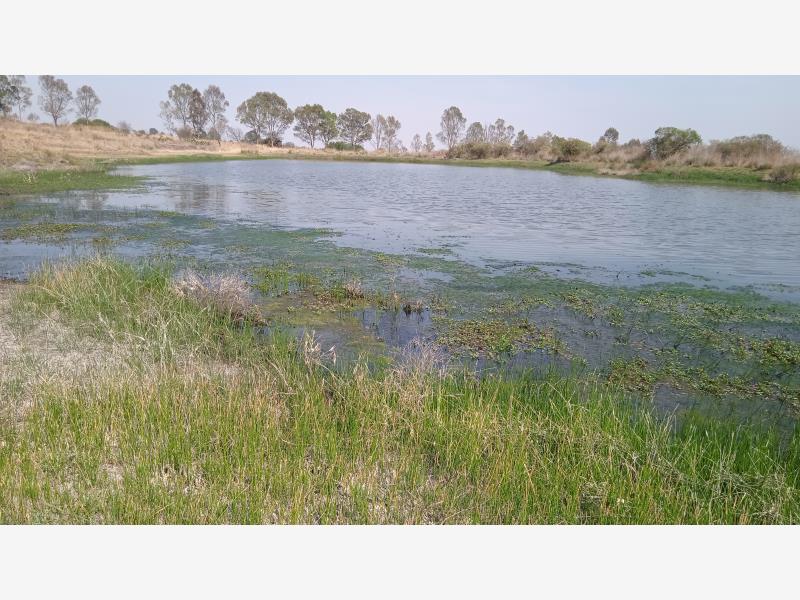 Terreno en venta en Santa María Nativitas Segundo Cuartel, Aculco — foto 1 de 10