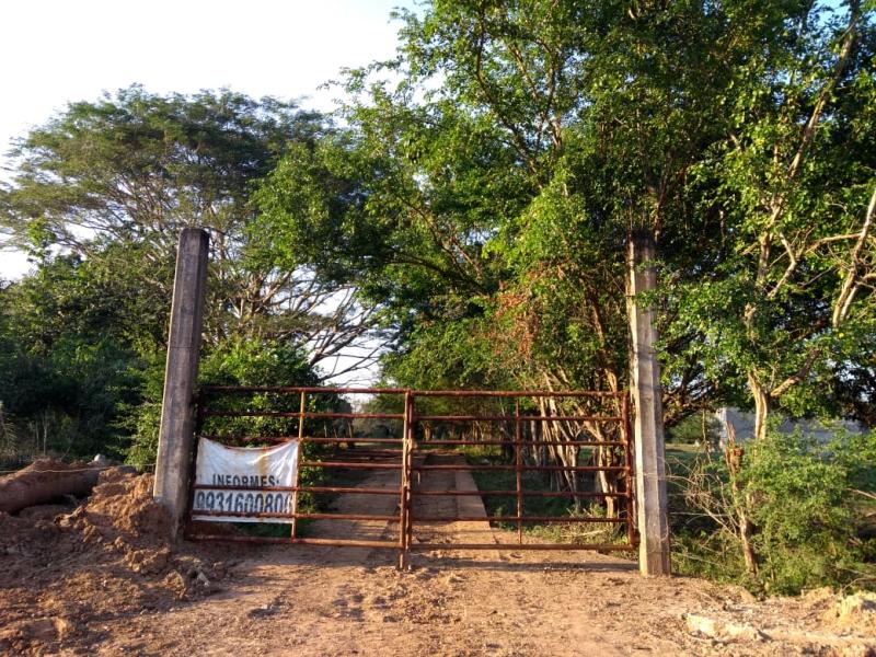 Finca-Rancho en venta en Santo Domingo 1ra. Sección (El Llano), Jalapa — foto 1 de 11