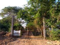 Finca-Rancho en venta en Santo Domingo 1ra. Sección (El Llano), Jalapa, Tabasco