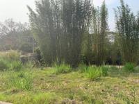 Terreno en venta en Tres Pasos, Emiliano Zapata — foto 2 de 6