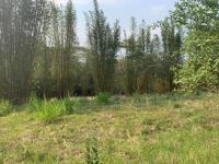 Terreno en venta en Tres Pasos, Emiliano Zapata — foto 3 de 6