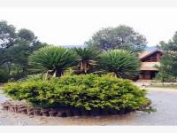 Terreno en venta en Los Lirios, Arteaga — foto 3 de 9
