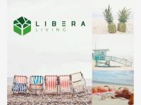 Terreno en venta en Sisal, Hunucmá — foto 3 de 7