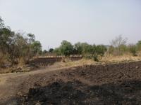 Terreno en venta en Quinceo, Morelia — foto 3 de 5