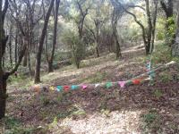 Terreno en venta en Pueblo Nuevo, Mineral del Monte — foto 2 de 14