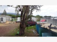 Finca-Rancho en venta en La Sabanilla (San José de la Sabanilla), Jerécuaro — foto 2 de 9