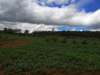 Terreno en venta en Huasca de Ocampo Centro, Huasca de Ocampo — foto 3 de 6