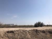 Terreno en venta en Las Huertas, Gómez Palacio — foto 2 de 15