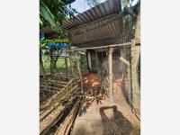 Terreno en venta en Nuevo Naranjos, Naranjos Amatlán — foto 3 de 9