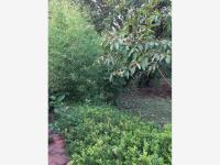 Casa en venta en Jardines de Delicias, Cuernavaca — foto 3 de 18