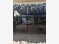 Casa en venta en Jojutla Centro, Jojutla — foto 3 de 13