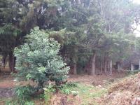 Terreno en venta en Tepoztlan Centro, Tepoztlán — foto 2 de 33