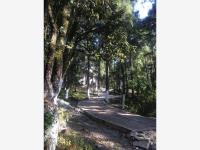 Terreno en venta en Pueblo Nuevo, Mineral del Monte — foto 2 de 24