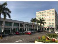 Oficina en renta en Del Empleado, Cuernavaca — foto 3 de 6
