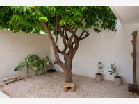 Casa en renta en Garcia Gineres, Mérida — foto 2 de 18