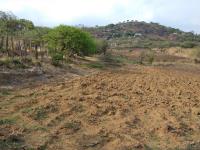Terreno en venta en Camino Antiguo a Tepoztlán, Tepoztlán — foto 2 de 9