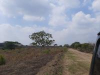 Terreno en venta en Colinas de Santa Fe, Veracruz — foto 2 de 22