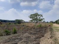 Terreno en venta en Colinas de Santa Fe, Veracruz — foto 3 de 22