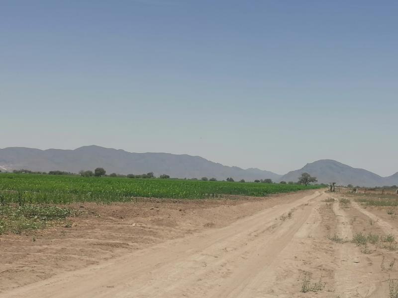 Terreno en venta en Maravillas, Matamoros — foto 1 de 5