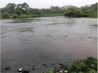 Terreno en venta en Rancho Nuevo, Tihuatlán, Veracruz de Ignacio de la Llave Terreno en venta en Rancho Nuevo, Tihuatlán, Veracruz de Ignacio de la Llave