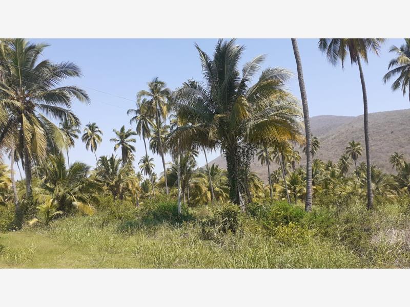 Terreno en venta en Cerro de Ortega, Tecomán