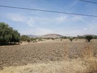 Terreno en venta en Españita, San José Iturbide — foto 3 de 16