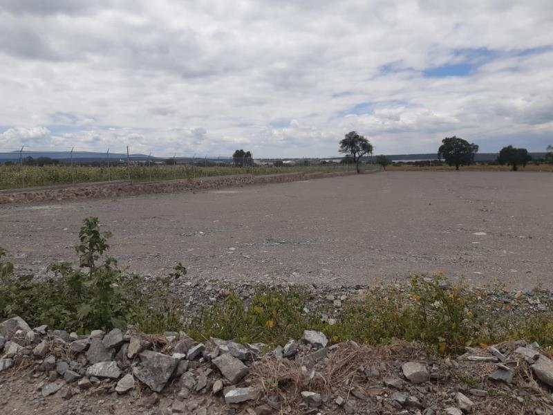 Terreno en renta en San Juan, Apaseo El Grande — foto 1 de 4