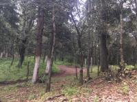 Terreno en venta en Pueblo Nuevo, Mineral del Monte — foto 3 de 34