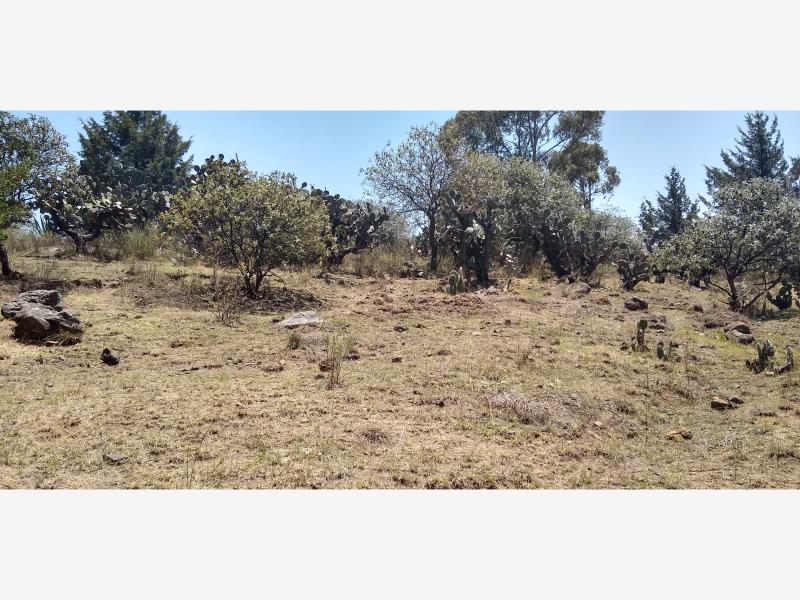 Terreno en venta en Aculco de Espinoza, Aculco — foto 1 de 15