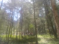 Terreno en venta en Pueblo Nuevo, Mineral del Monte — foto 2 de 21