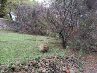 Terreno en venta en Tepoztlan Centro, Tepoztlán — foto 3 de 13