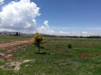 Terreno en venta en Atlamaxac, Chignahuapan — foto 2 de 33