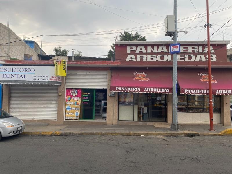Imagen 5
