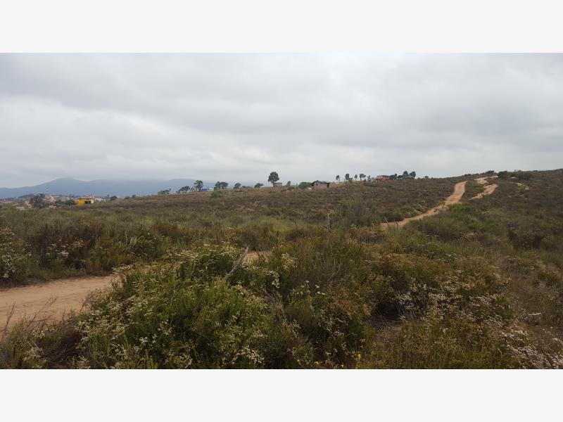 Terreno en venta en Villas del Roble, Ensenada — foto 1 de 6