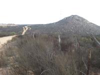 Terreno en venta en Villas del Roble, Ensenada — foto 3 de 6