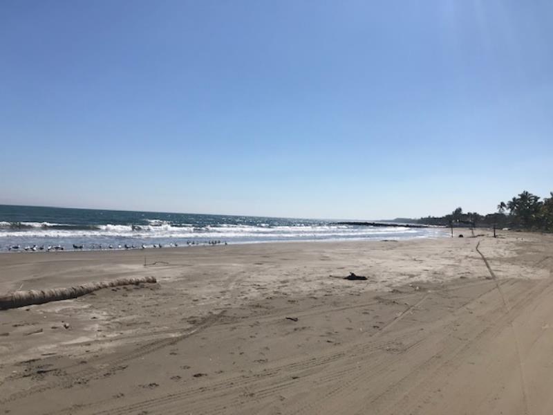 Terreno en venta en El Zapote, Alvarado — foto 1 de 15