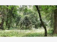 Terreno en venta en Avandaro, Valle de Bravo — foto 2 de 5