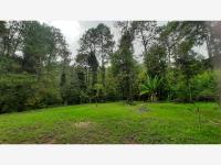 Terreno en venta en Avandaro, Valle de Bravo — foto 3 de 5
