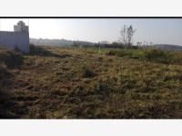 Terreno en venta en Anton Lizardo, Alvarado — foto 2 de 7
