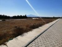 Terreno en venta en Mazarraza, Cuapiaxtla — foto 3 de 5