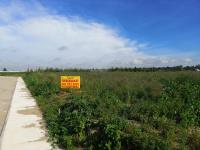 Terreno en venta en Mazarraza, Cuapiaxtla — foto 3 de 4