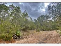 Terreno en venta en Sierra Hermosa, Arteaga — foto 3 de 8