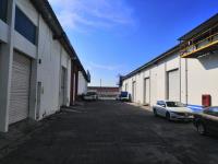 Bodega en renta en Flores del Valle, Veracruz — foto 2 de 6