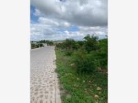 Terreno en venta en Purísima de Cubos (La Purísima), Colón — foto 2 de 11