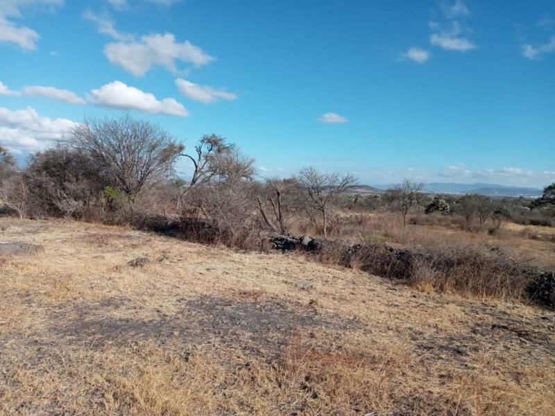 Terreno en venta en Zákia, El Marqués — foto 1 de 6