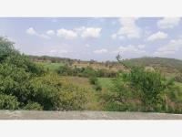 Terreno en venta en Moyotepec, Ayala — foto 3 de 7